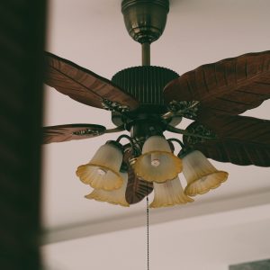 Ceiling Fan
