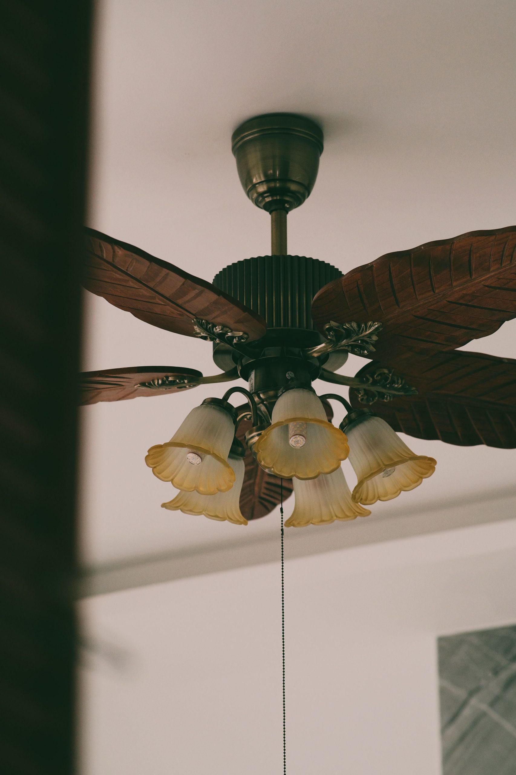 Ceiling Fan